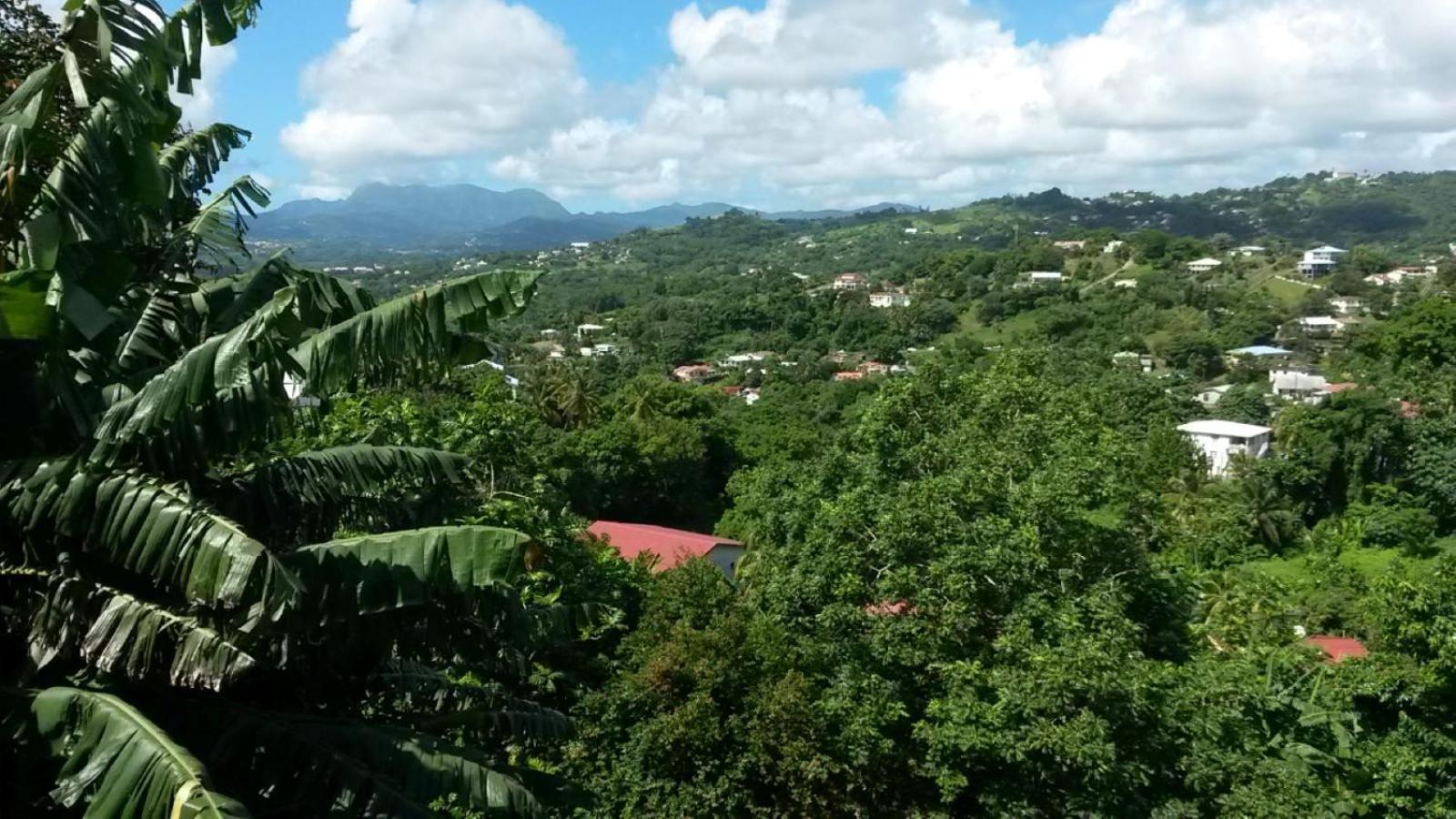 Studio Brazilia Bois Et Nature, Terrasse Avec Vue Sur Les Pitons Le Robert Esterno foto